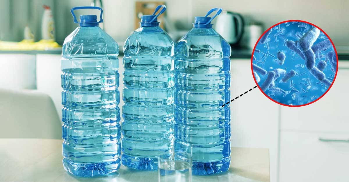 Scientific analysis of bacteria found inside reusable water bottles