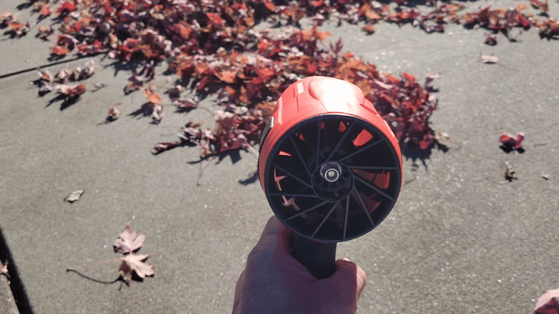 A man blowing leaves in a driveway with the Wood Ranger blower.